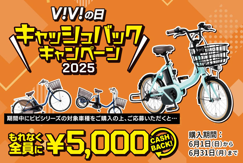 【ViViの日】キャッシュバックキャンペーン